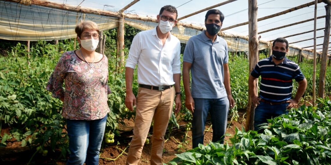 Entregaron 2.500 plantines de hortalizas para fortalecer el cinturón verde de Posadas