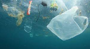 Medio Ambiente: Argentina integra una iniciativa mundial para acabar con la basura marina