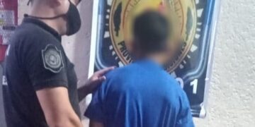 Posadas: terminó detenido luego de ser captado por las cámaras del 911 intentando robar en propiedades