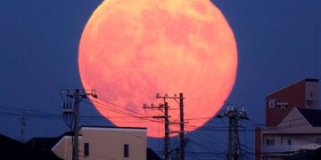 Superluna rosa: la última luna llena de abril 2021
