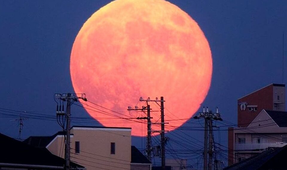 Superluna rosa: la última luna llena de abril 2021