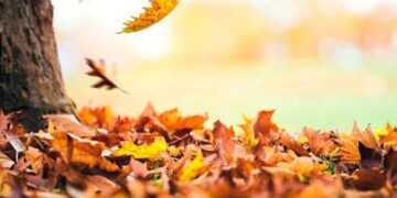 Medio ambiente: pronostican un otoño más cálido en el sur y centro del país