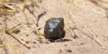 Ciencia: descubren que una roca que cayó en 2018 proviene de Vesta, el segundo asteroide más grande del sistema solar