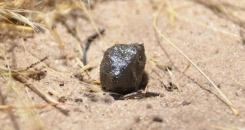 Ciencia: descubren que una roca que cayó en 2018 proviene de Vesta, el segundo asteroide más grande del sistema solar
