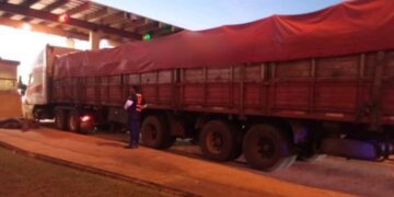 Icautan otro camión que transportaba soja ilegal