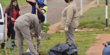 Avanzan las tareas de arborización y jardinería en Itaembé Guazú