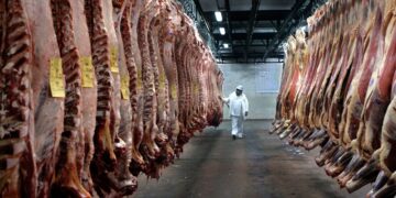 Rige la suspensión por 30 días para exportar carne bovina