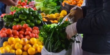 Ya son 450 los productores y emprendedores que comercializan en las diferentes Ferias posadeñas