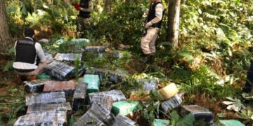 Puerto Libertad: Incautan casi una tonelada de marihuana valuada en 97 millones de pesos
