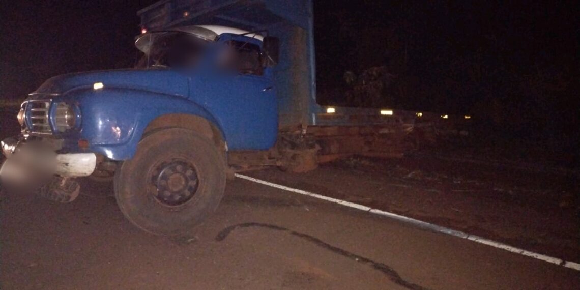 Los Helechos: un hombre murió en un choque sobre la ruta 5