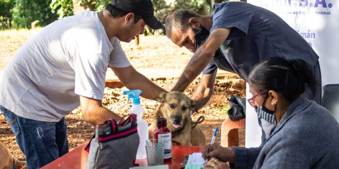 El IMuSA acentúa la tenencia responsable de mascotas en los barrios