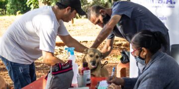 El IMuSA acentúa la tenencia responsable de mascotas en los barrios