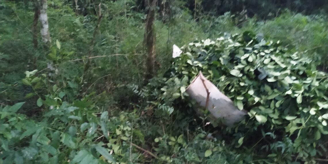 Sorprendieron a jóvenes en pleno robo de yerba mate en Mártires