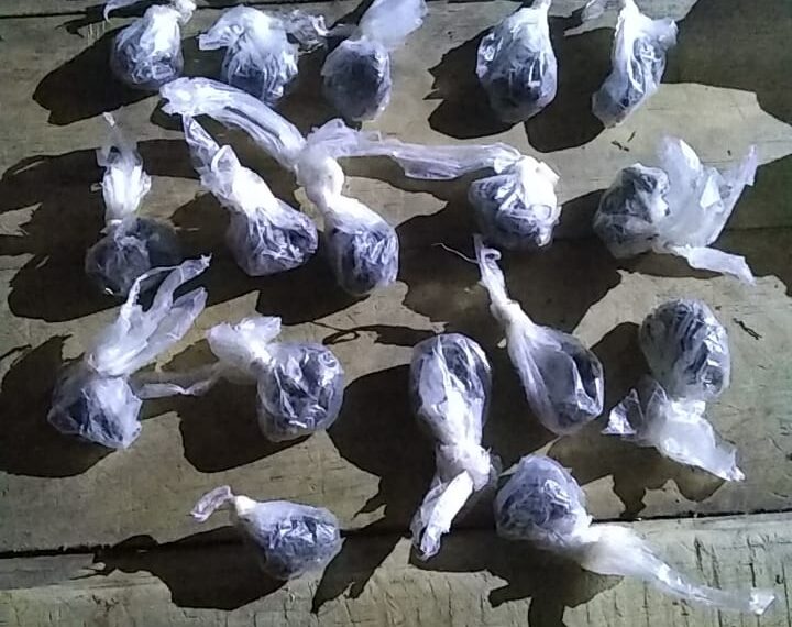Desbarataron un kiosco de marihuana en Bonpland