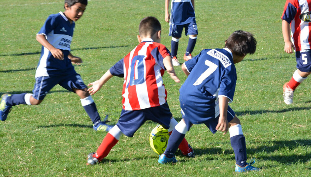 Misiones acordó con el Bayern Munich el desembarco de su academia de fútbol infantil y DTs