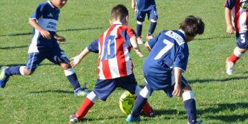 Misiones acordó con el Bayern Munich el desembarco de su academia de fútbol infantil y DTs