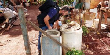 Dengue: recuerdan la importancia de eliminar criaderos después de la lluvia