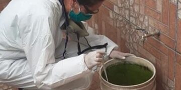 Habilitan número telefónico para informar casos de dengue
