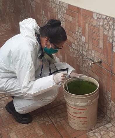 Habilitan número telefónico para informar casos de dengue