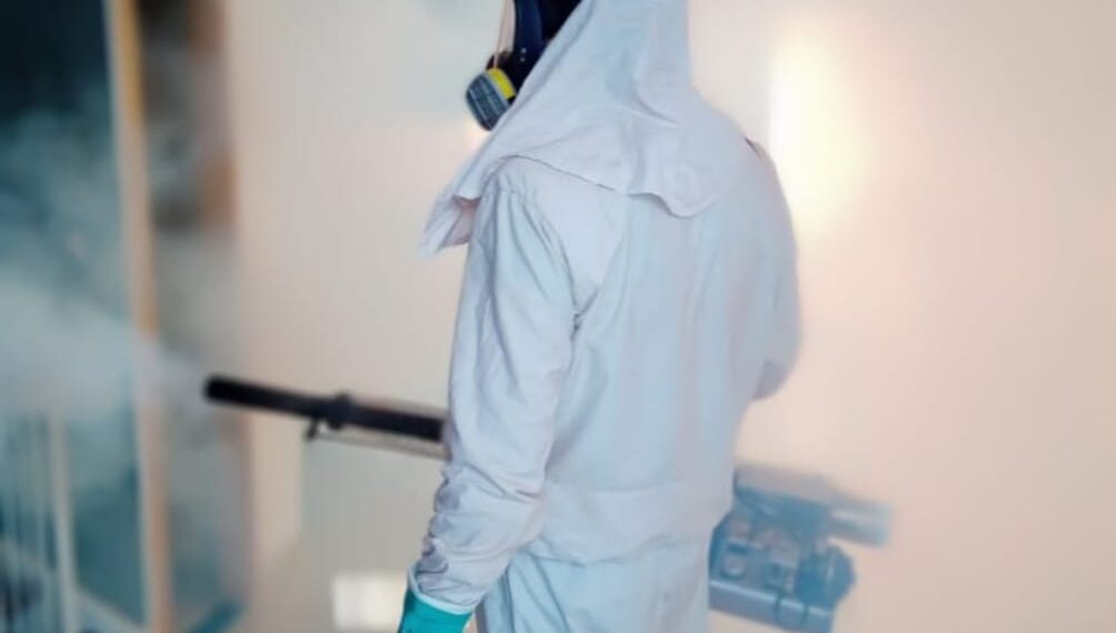 Operativos de fumigación en escuelas para prevenir el Aedes aegypti