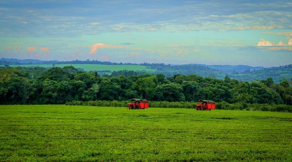 Se aprobaron inversiones por 90 millones de pesos para agroindustrias misioneras
