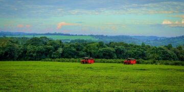 Se aprobaron inversiones por 90 millones de pesos para agroindustrias misioneras