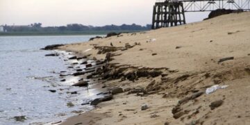 El río Paraná descendió a menos de 0 y estiman que será el año más bajo de la historia