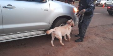 Policías y “Cooper” a la par en cada operativo