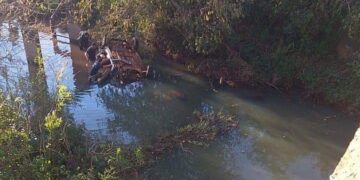 Hallaron sin vida a madre e hijo que eran intensamente buscados por la Policía en Montecarlo