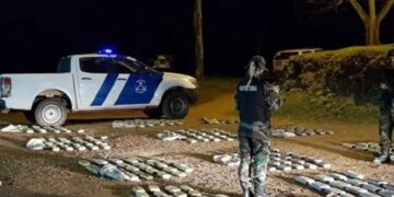 Incautaron más de 200 kilos de marihuana en Corpus