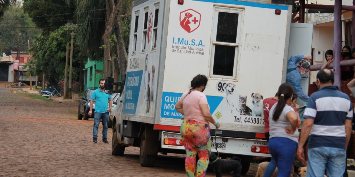 Tenencia responsable: En pandemia, el IMuSA continúa con las esterilizaciones a mascotas