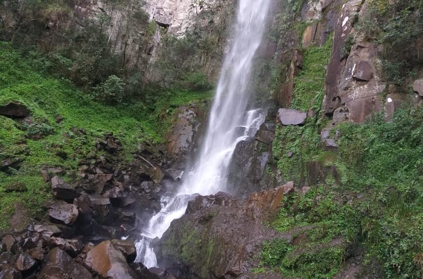 El Iprodha inició el proceso para restaurar las vertientes que preservan el cauce del arroyo Cuña Pirú