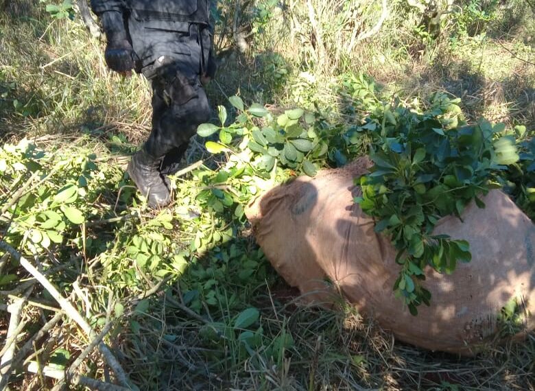 Operativo rural: evitaron el robo de yerba mate en varias localidades de la provincia