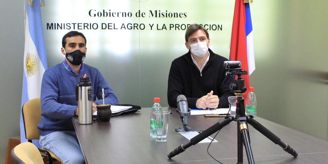 Misiones acompaña la formulación del Plan Ganadero Nacional