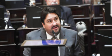 Senado dio media sanción a la ley que impulsa el desarrollo forestal