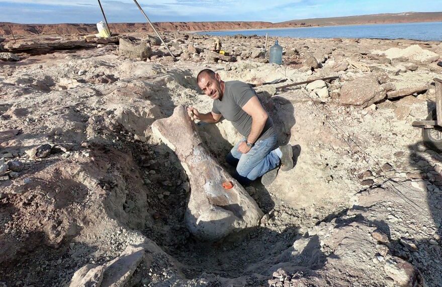 Neuquén: por la bajante de un lago, hallaron los restos de un dinosaurio gigante