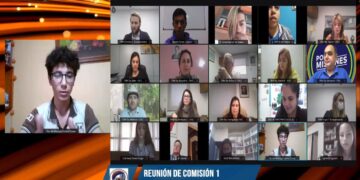 Comenzó el trabajo en comisiones del Parlamento Virtual Estudiantil Misionero 2021