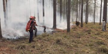 Intenso trabajo para sofocar varios incendios en la provincia