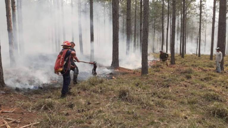 Intenso trabajo para sofocar varios incendios en la provincia