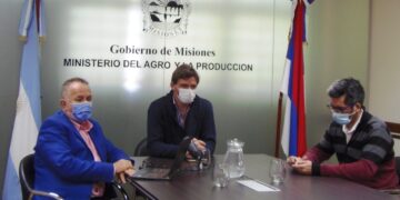 Presentaron créditos para la forestoindustria