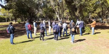Corredores verdes: El Municipio y la EBY definen estrategias de arborización
