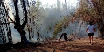 Sofocan incendio en el tacuaral de la Casa Museo Horacio Quiroga