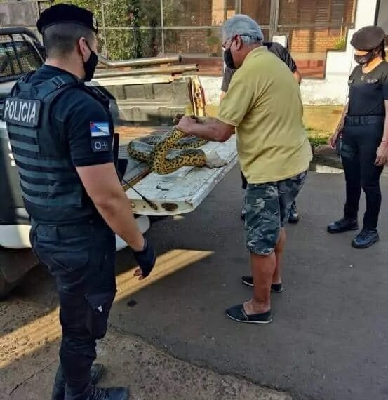 Rescataron y pusieron en resguardo una Curiyú en la costanera Oeste de Posadas