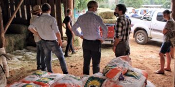Complementan apoyo a productores lecheros con reservas forrajeras