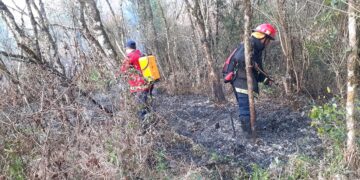 La Policía continúa con la prevención y el sofoque de incendios en toda la Provincia: hay un detenido