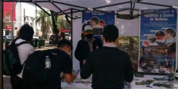 Posadas continúa con las acciones para prevenir la proliferación del mosquito Aedes aegypti