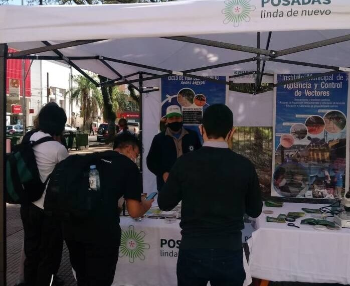Posadas continúa con las acciones para prevenir la proliferación del mosquito Aedes aegypti