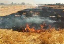 Peligro extremo de incendios en Misiones