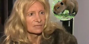 Zulma Lobato quiere adoptar un carpincho de Nordelta: “Está conmovida por la situación”