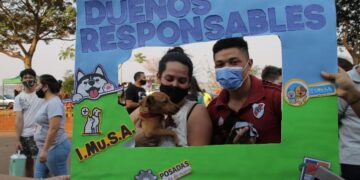 Adopción responsable: 20 mascotas encontraron una nueva familia